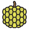 custard-apple (1) custard-apple (1)