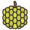 custard-apple (1) custard-apple (1)